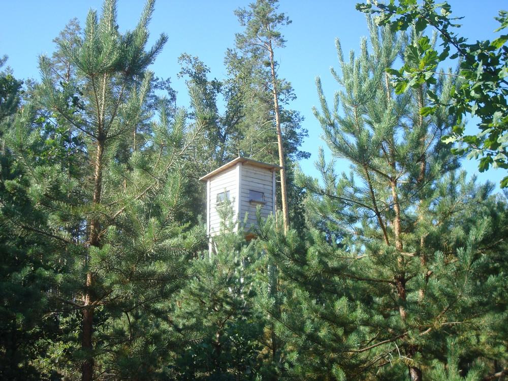 Бондарня з panoramio.com - Бондарня