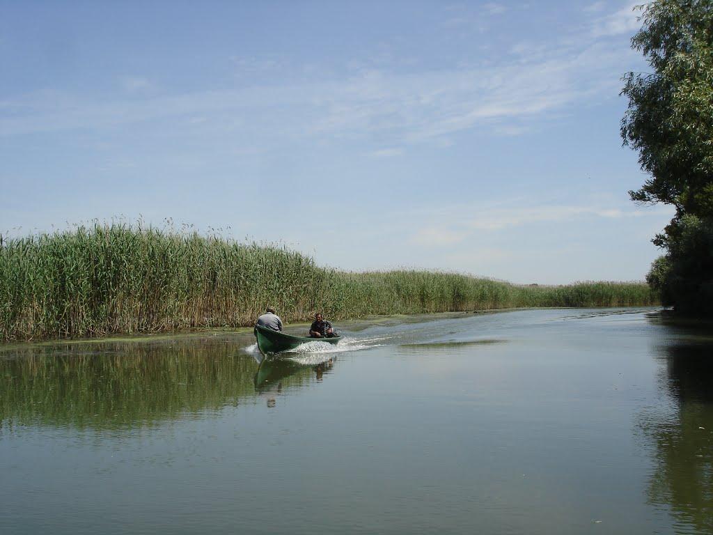 Дунайське з panoramio.com (ч.2) - Dunayske