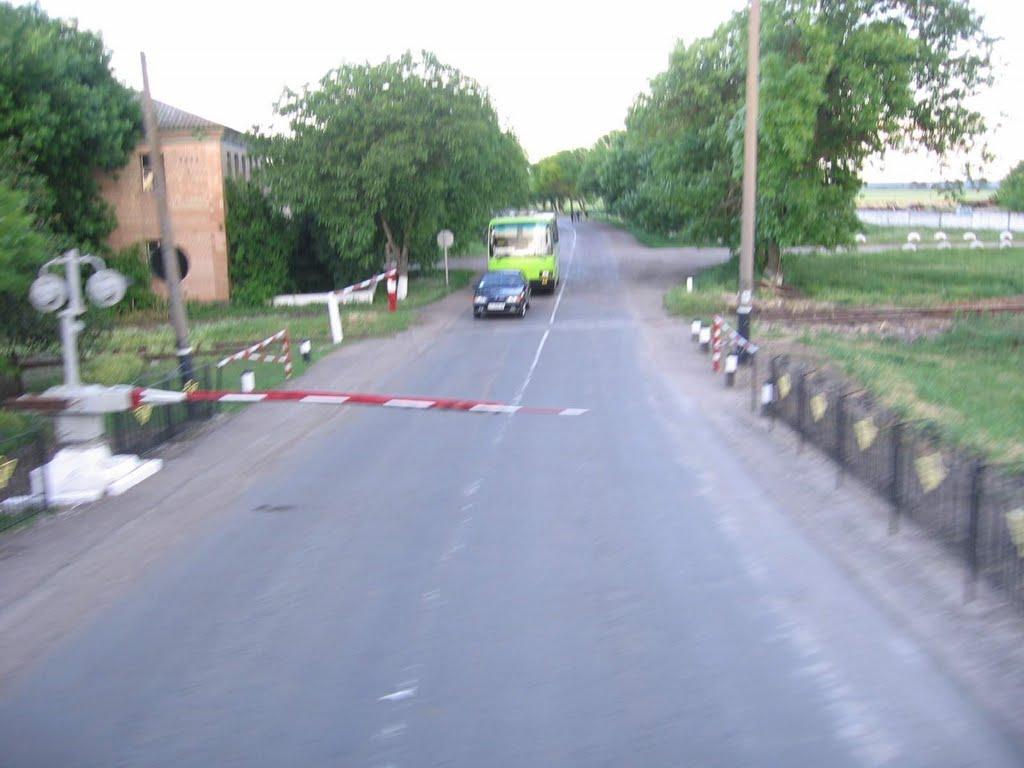 Кавуни з panoramio.com - Кавуни