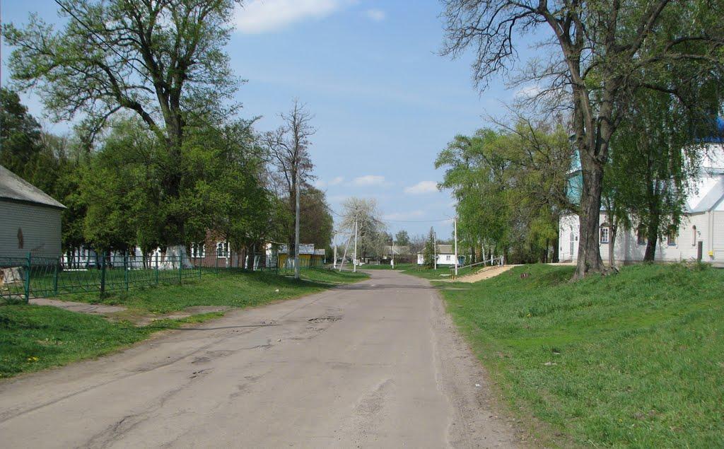 Марківці з panoramio.com - Марковцы