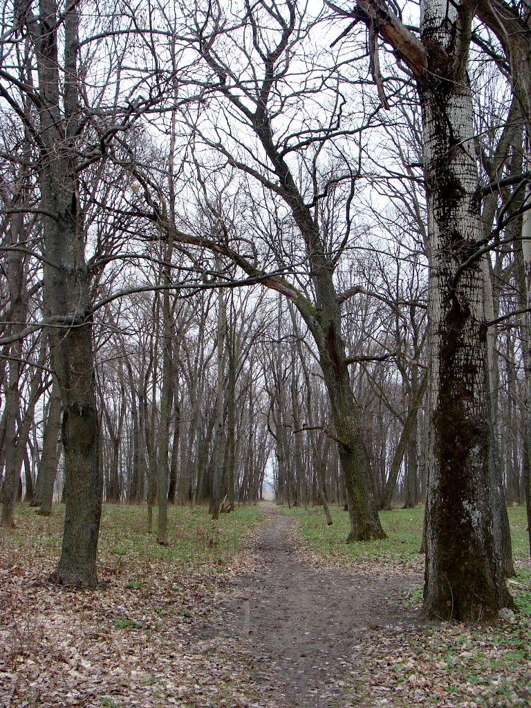 Бочечки з panoramio.com - Bochechky
