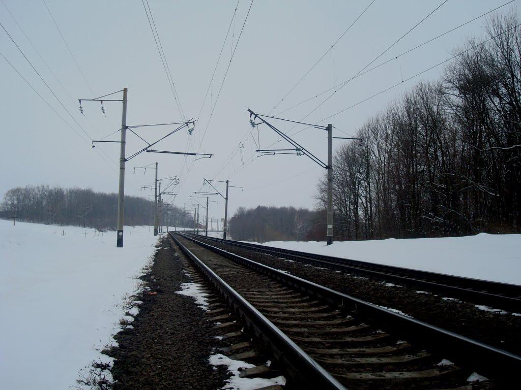 Березове з panoramio.com - Berezove
