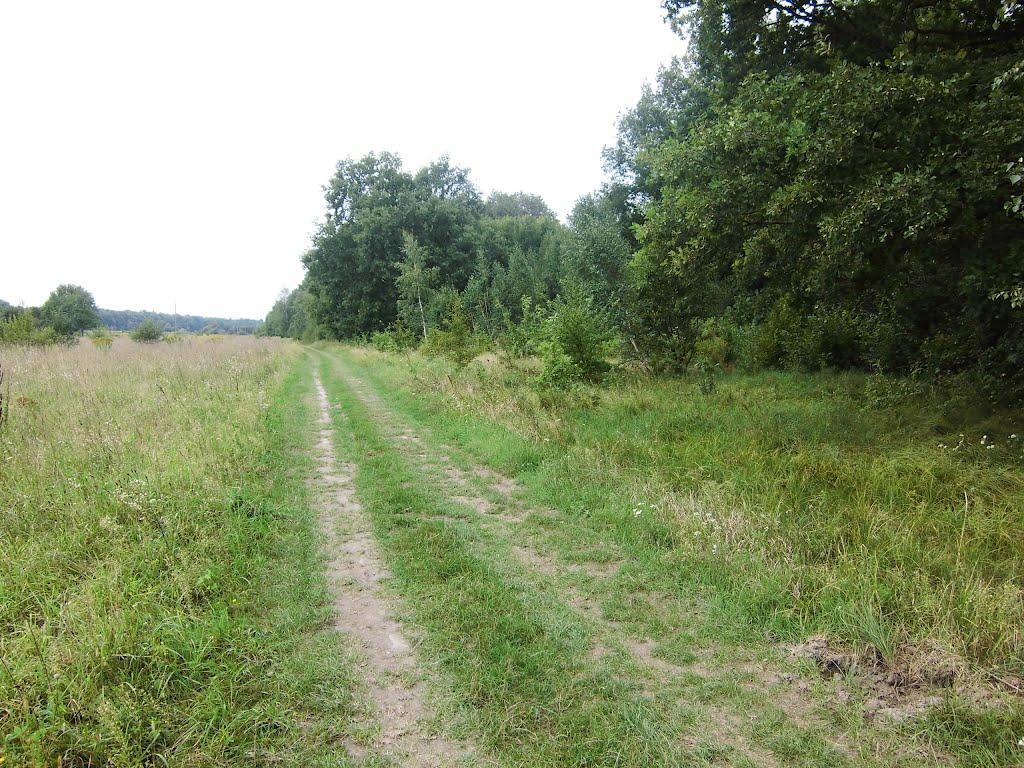 Ганнусине з panoramio.com - Аннусино