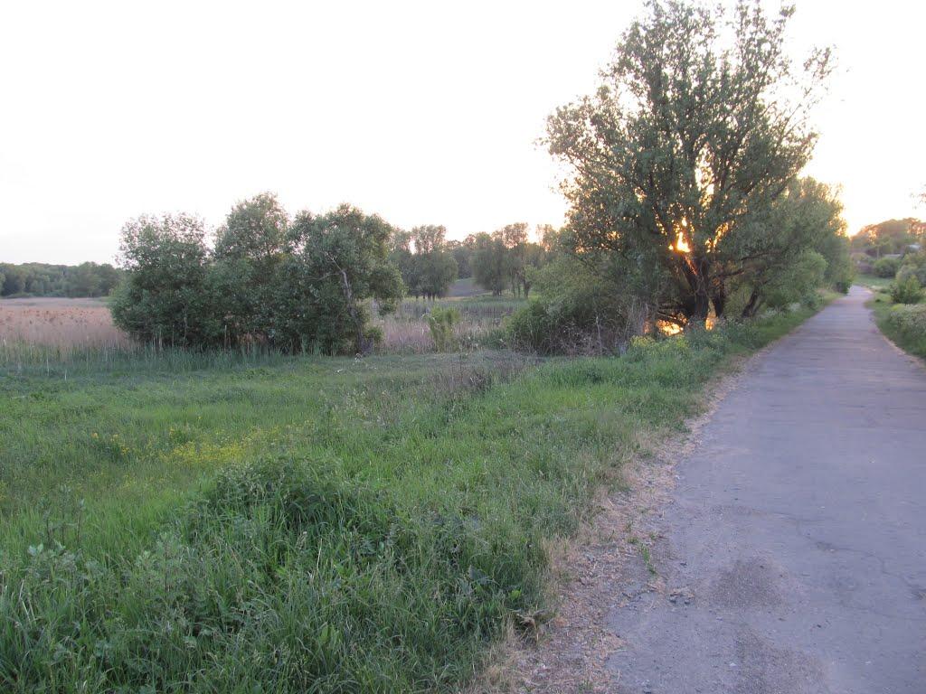 Малополовецьке з panoramio.com - Малополовецьке