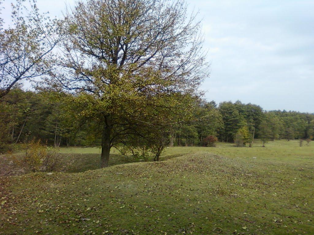 Павлівка з panoramio.com - Павлівка