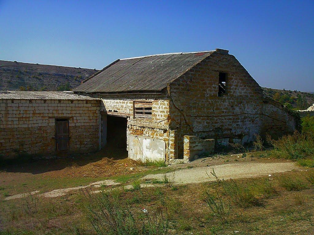 Красний Мак з panoramio.com - Красный Мак