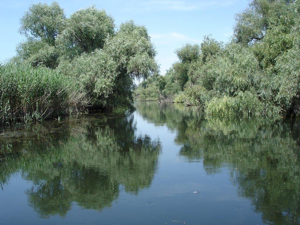 Дунайське з panoramio.com (ч.2) - Дунайское