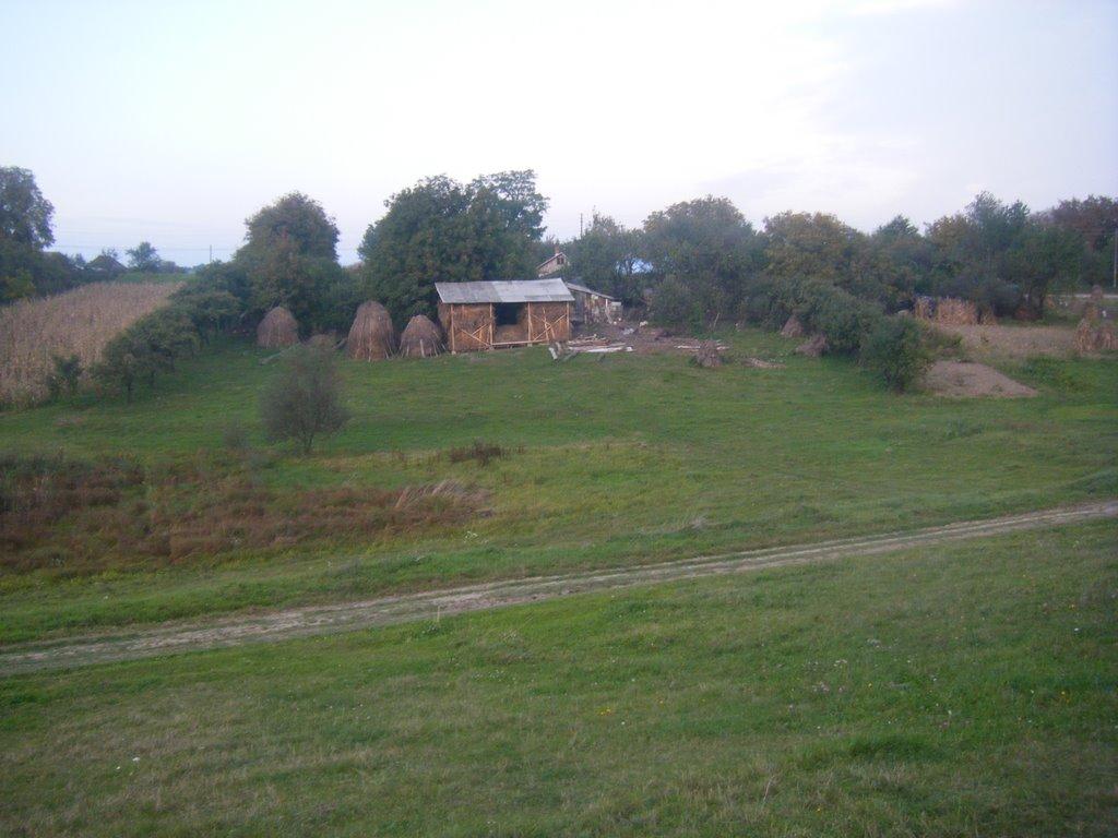 Лунка з panoramio.com - Лунка