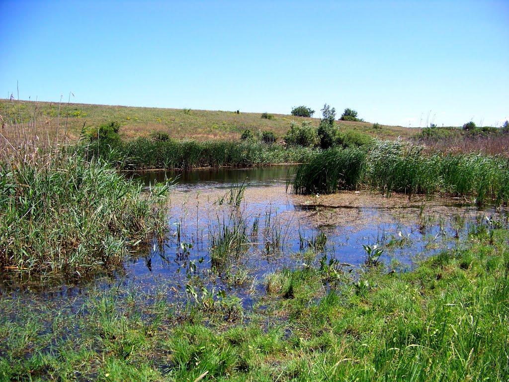 Гурівка з panoramio.com - Гуровка