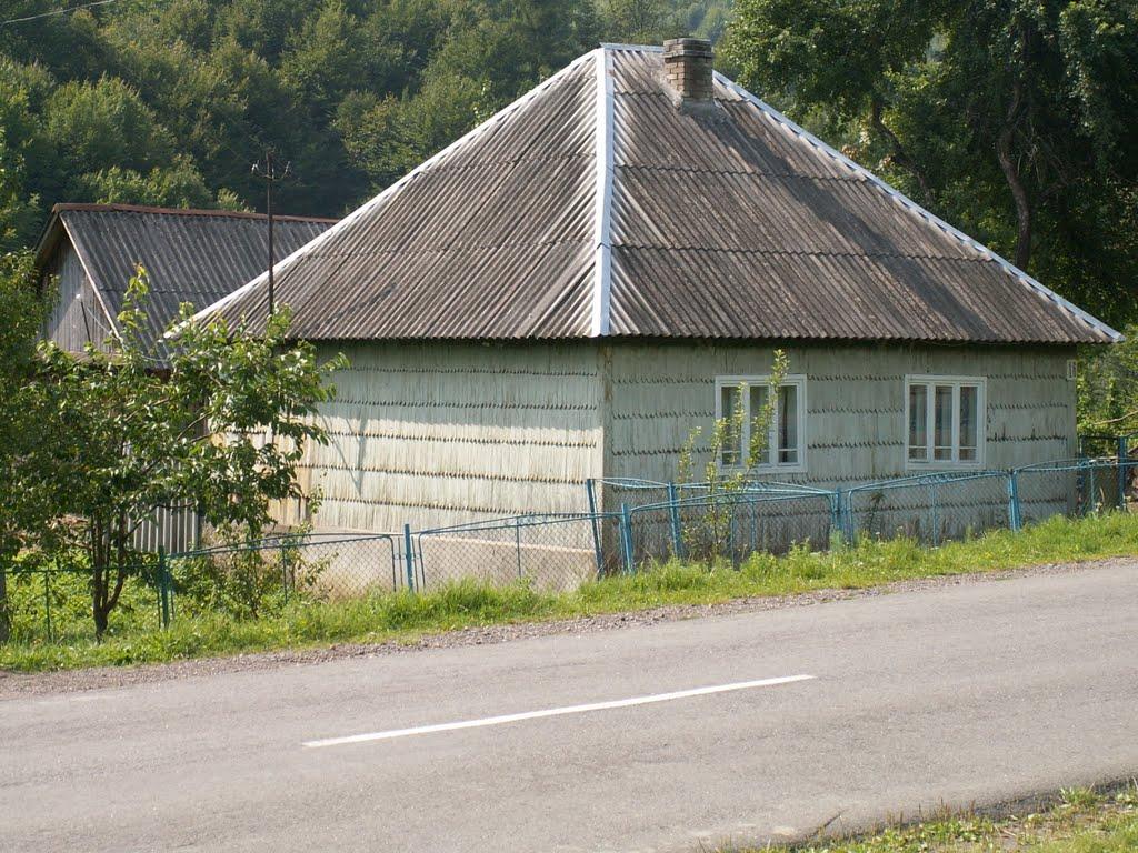 Верхня Грабівниця з panoramio.com - Verkhnya Grabivnytsya