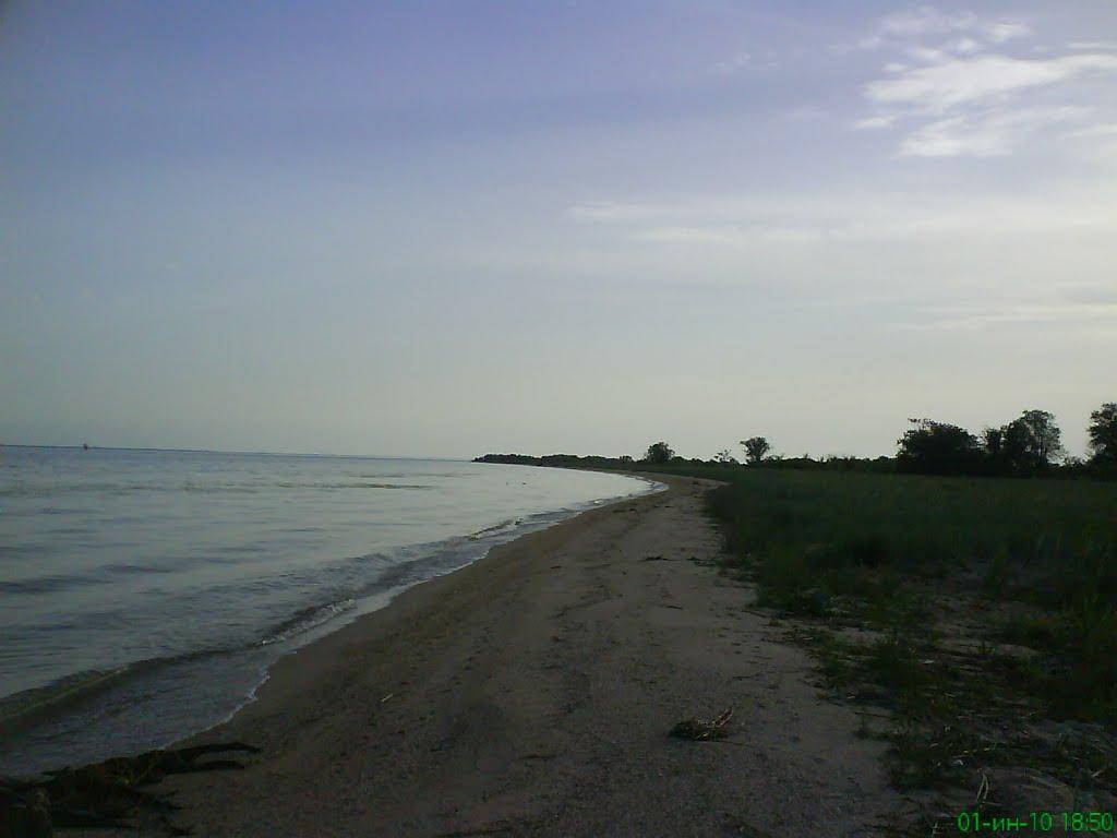 Солончаки з panoramio.com - Солончаки