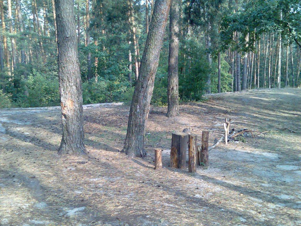 Гірки з panoramio.com - Горки