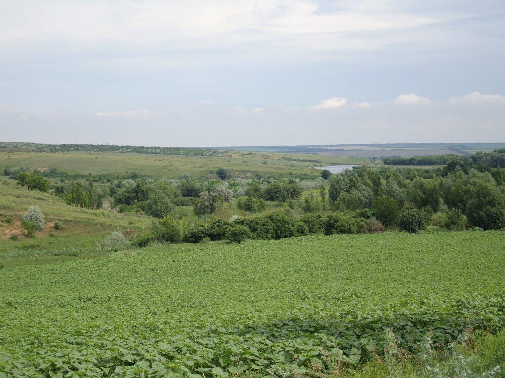 Вишнювате з panoramio.com - Вишневатое