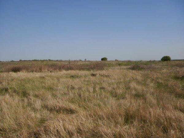 Орлівське з panoramio.com - Орловское