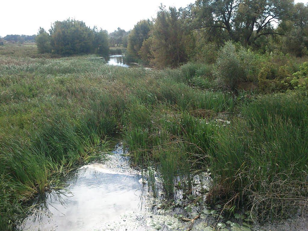 Ольшаниця з panoramio.com - Ольшаниця