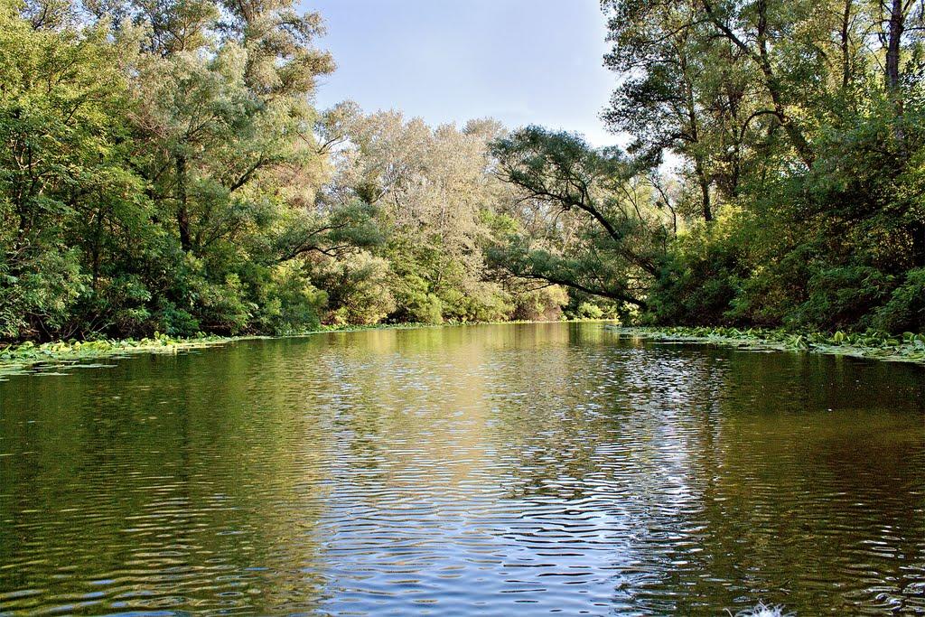 Кушугум з panoramio.com - Кушугум