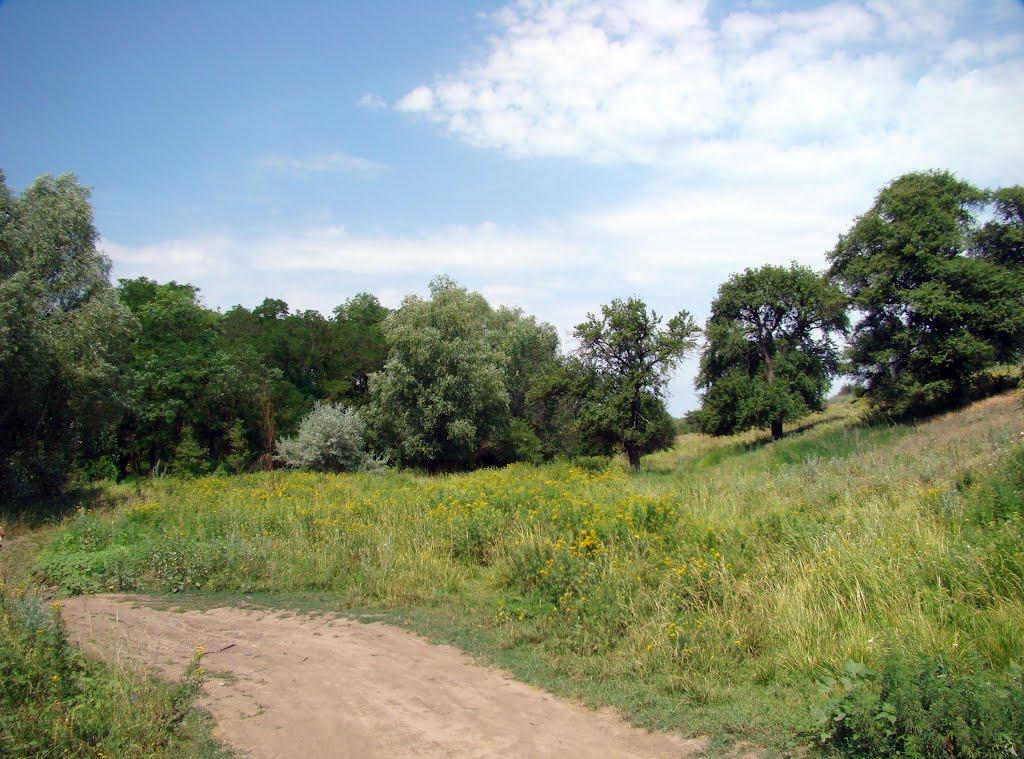 Червонодніпровка з panoramio.com - Червоноднепровка
