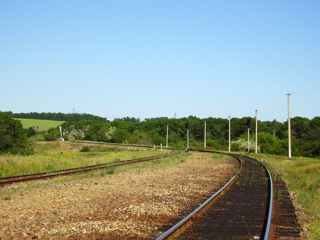 Голубівське з panoramio.com - Голубовское
