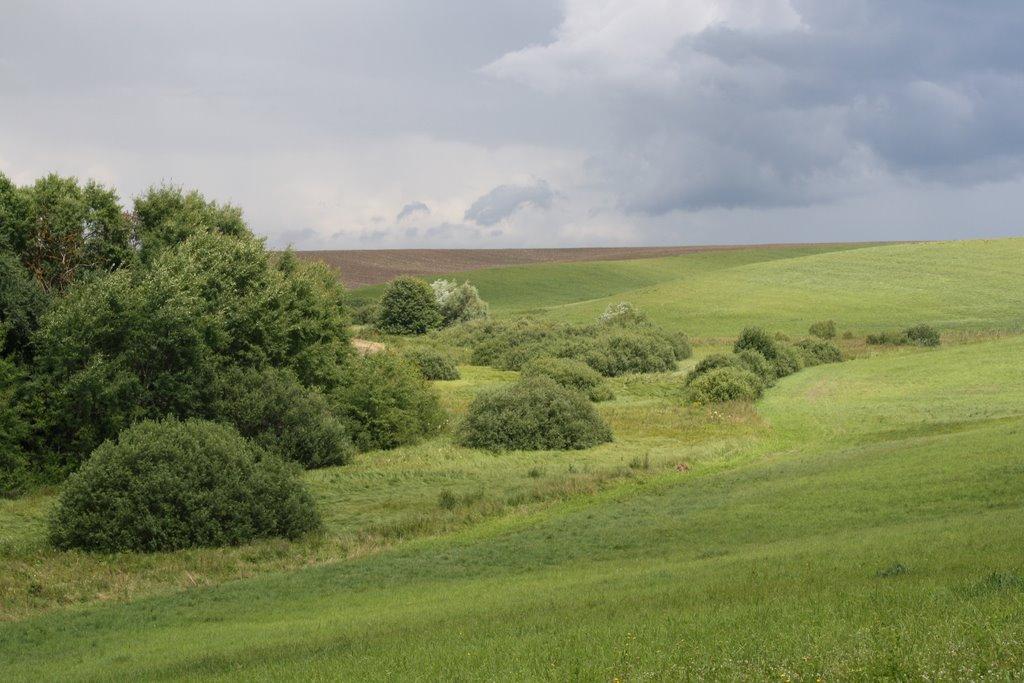 Верхівка з panoramio.com - Верховка