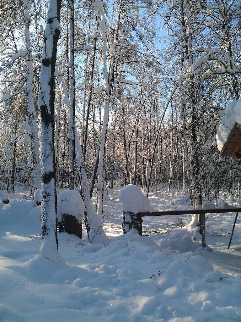 Бондарня з panoramio.com - Бондарня