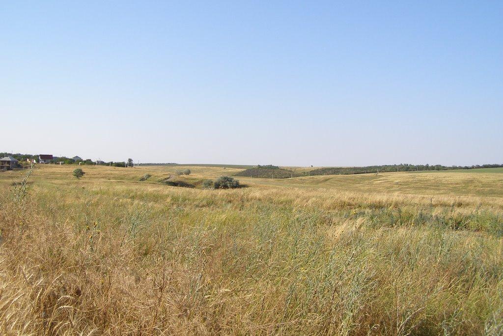 Світле з panoramio.com - Светлое