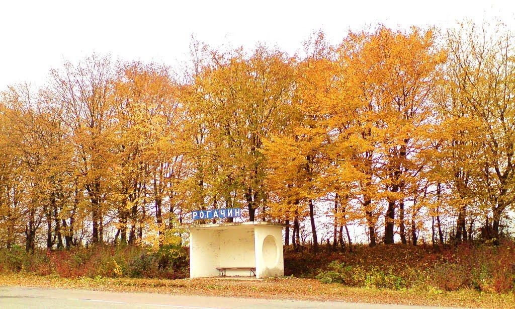 Куряни з panoramio.com - Куряны