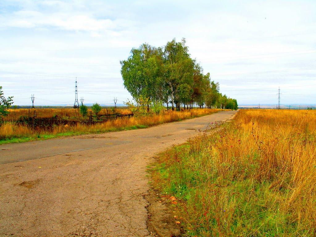 Вуглегірськ з panoramio.com - Вуглегірськ