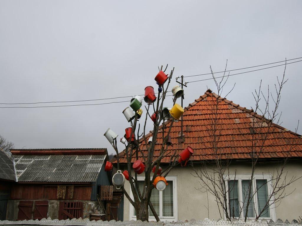 Біла Церква з panoramio.com - Біла Церква