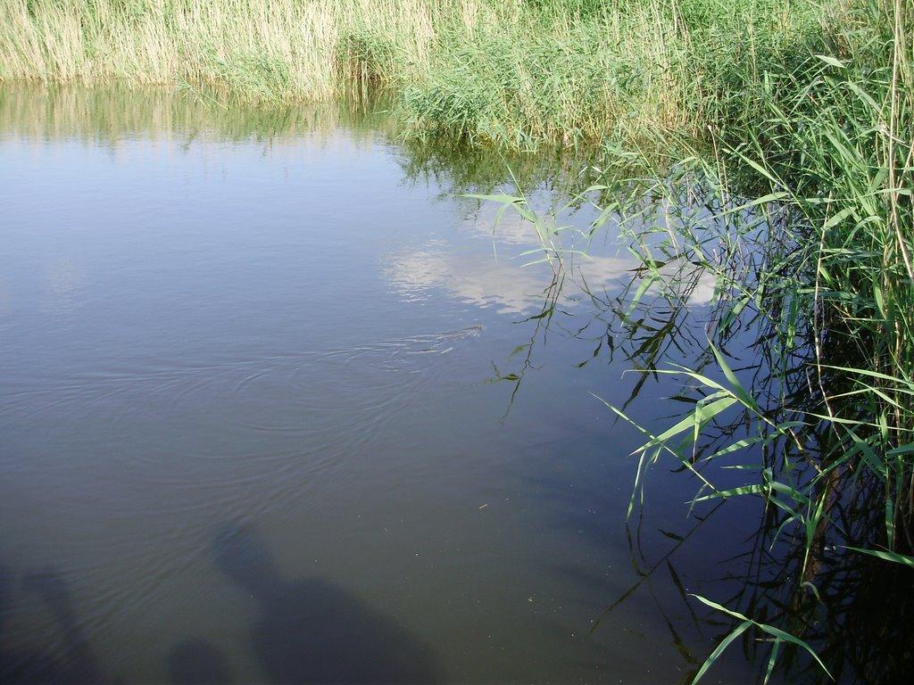 Темрюк з panoramio.com - Темрюк