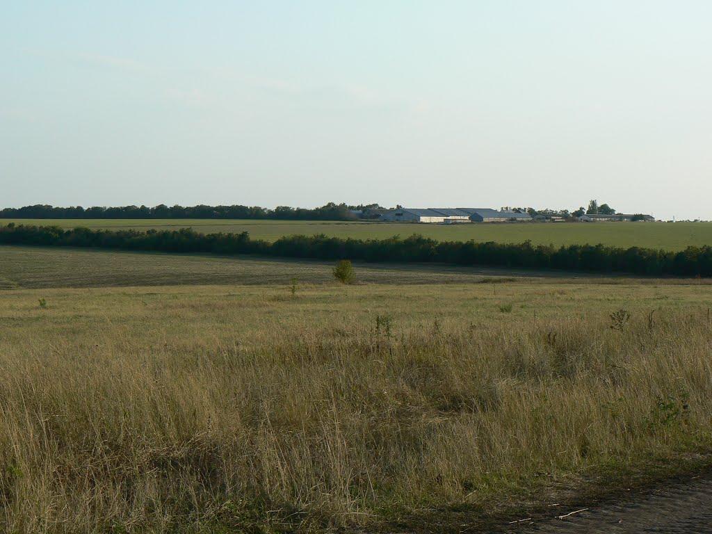 Новоукраїнка з panoramio.com - Новоукраїнка