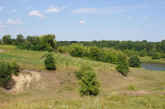 Кам'янка з panoramio.com - Каменка