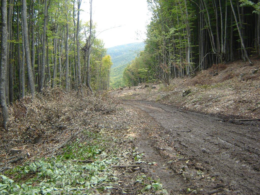 Многоріччя з panoramio.com - Многоріччя