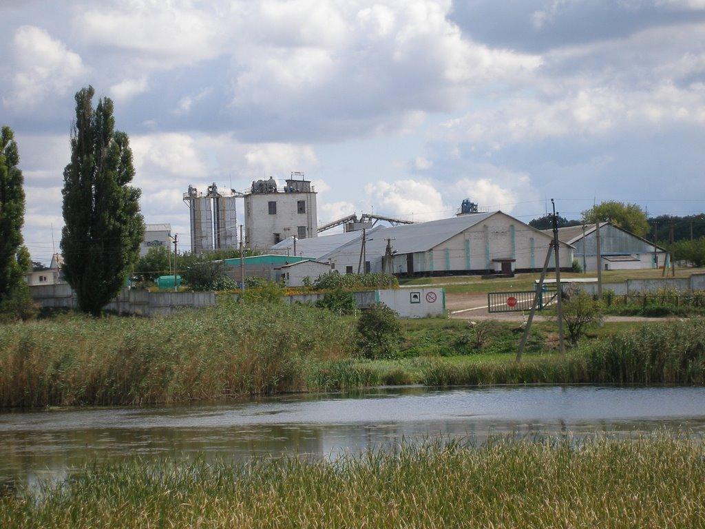 Протопопівка з panoramio.com - Protopopivka