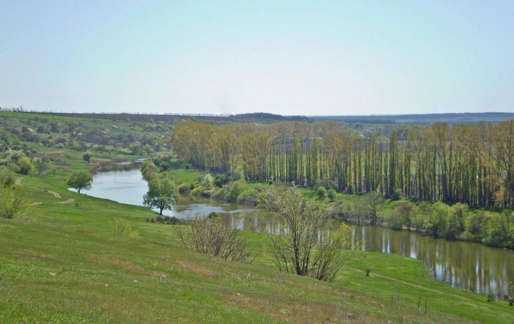 Новокурське з panoramio.com - Новокурське