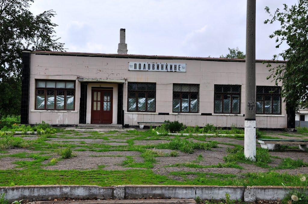 Половинкине з panoramio.com - Половинкине