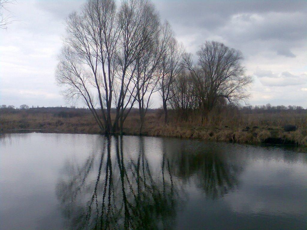 Мала Дівиця з panoramio.com - Мала Дівиця