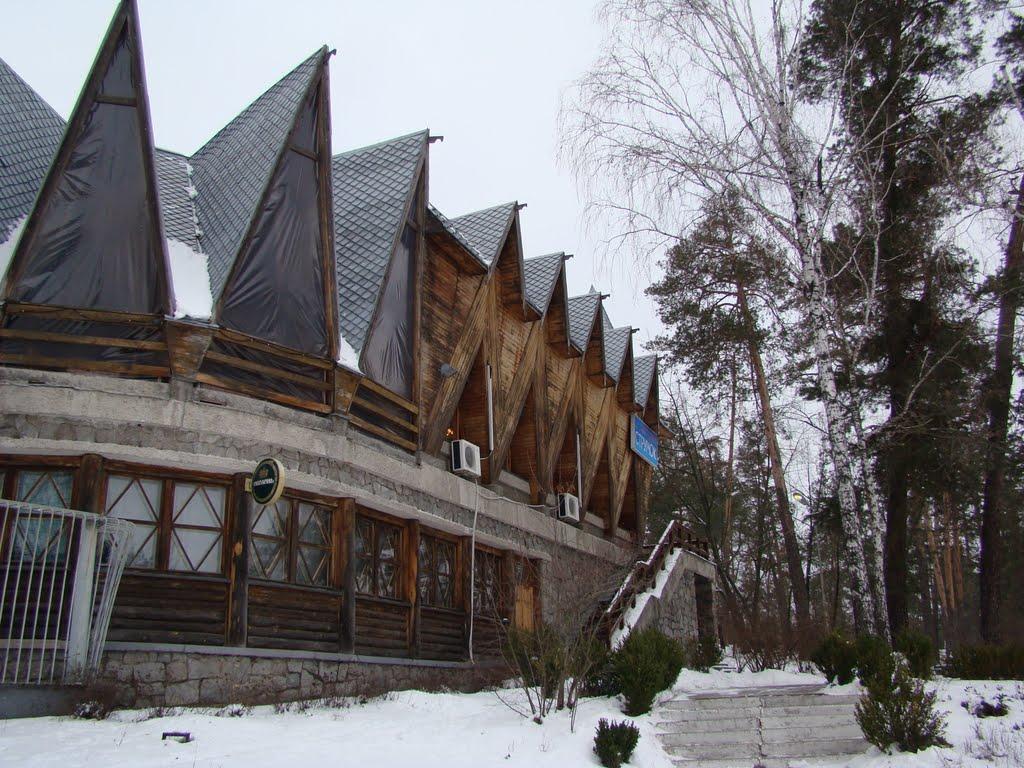 Козин з panoramio.com - Козин