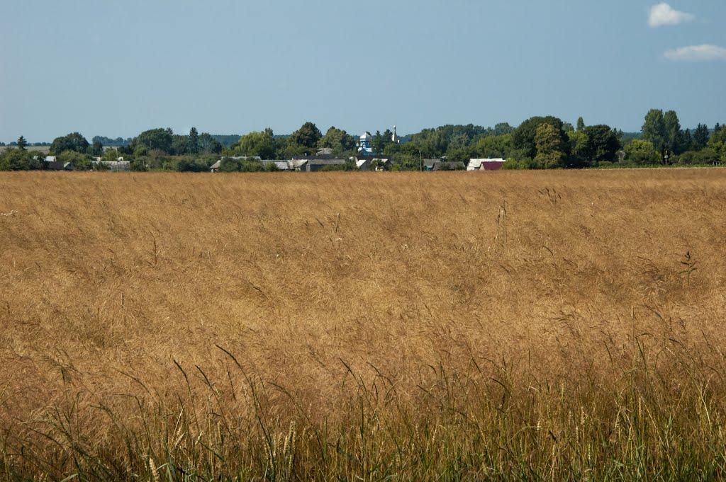 Теслугів з panoramio.com - Теслугів