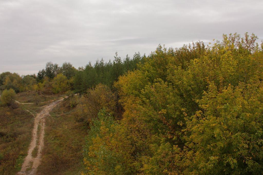 Червоний Шахтар з panoramio.com - Червоный Шахтер