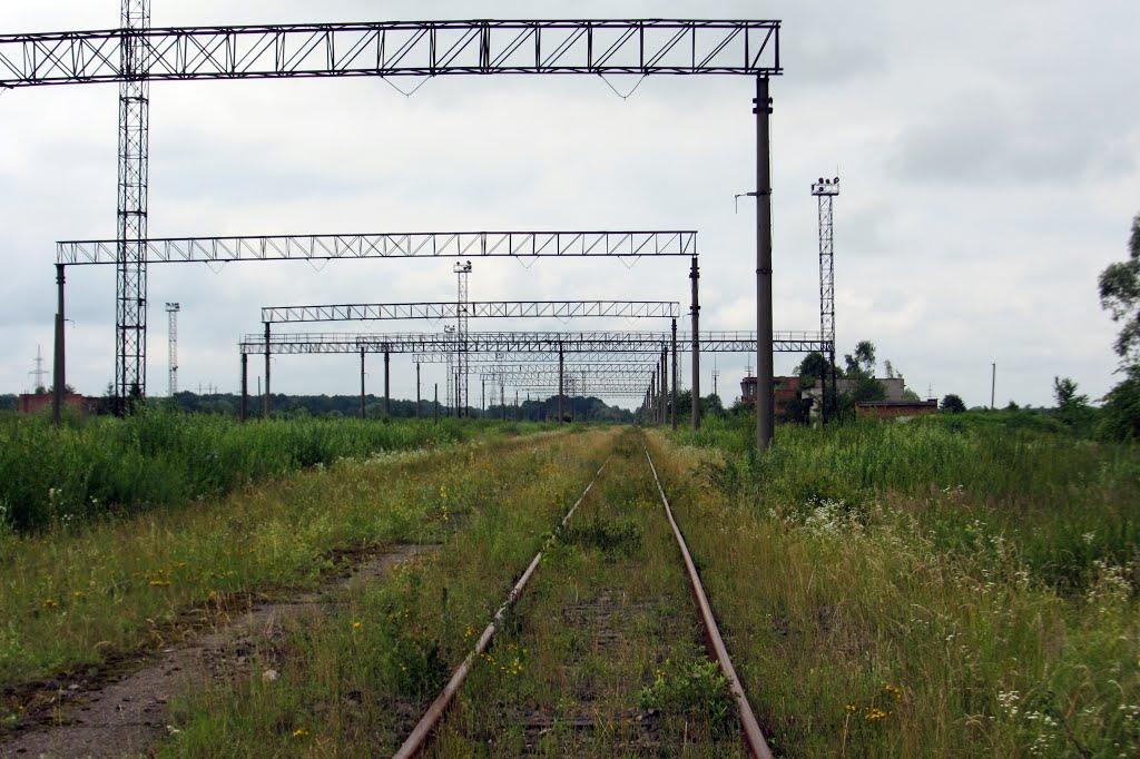 Дем'янка-Наддністрянська з panoramio.com - Демянка-Надднестрянская