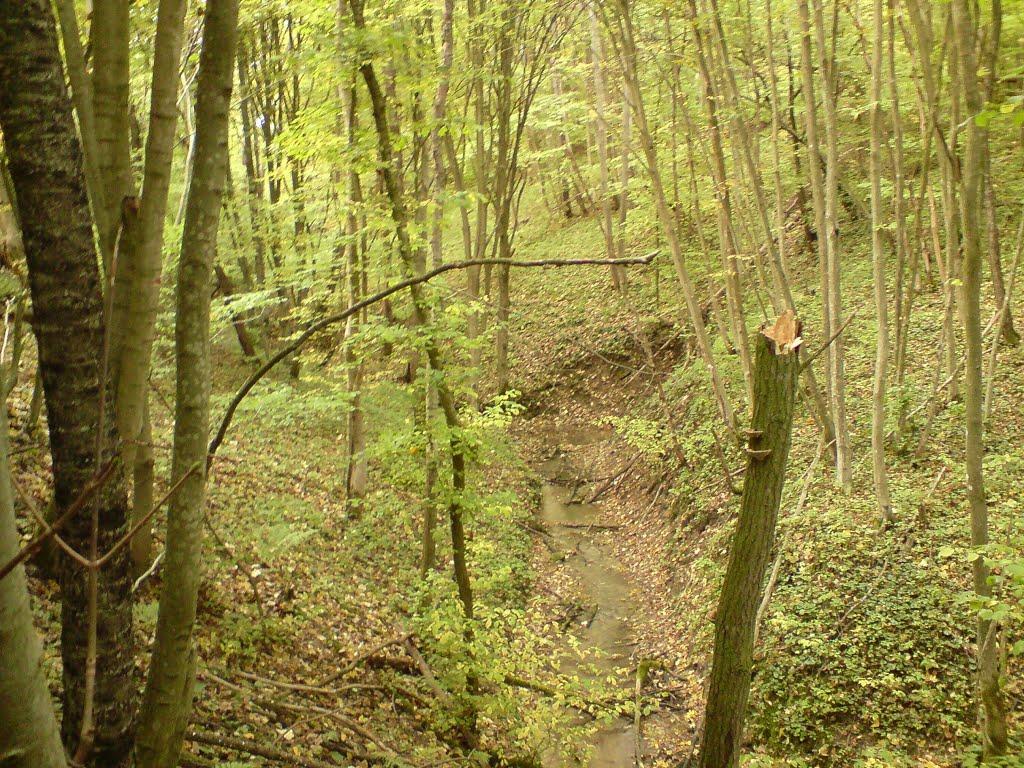 Дуляби з panoramio.com - Дулябы