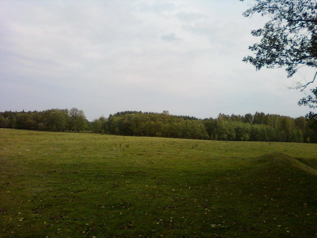 Павлівка з panoramio.com - Павлівка