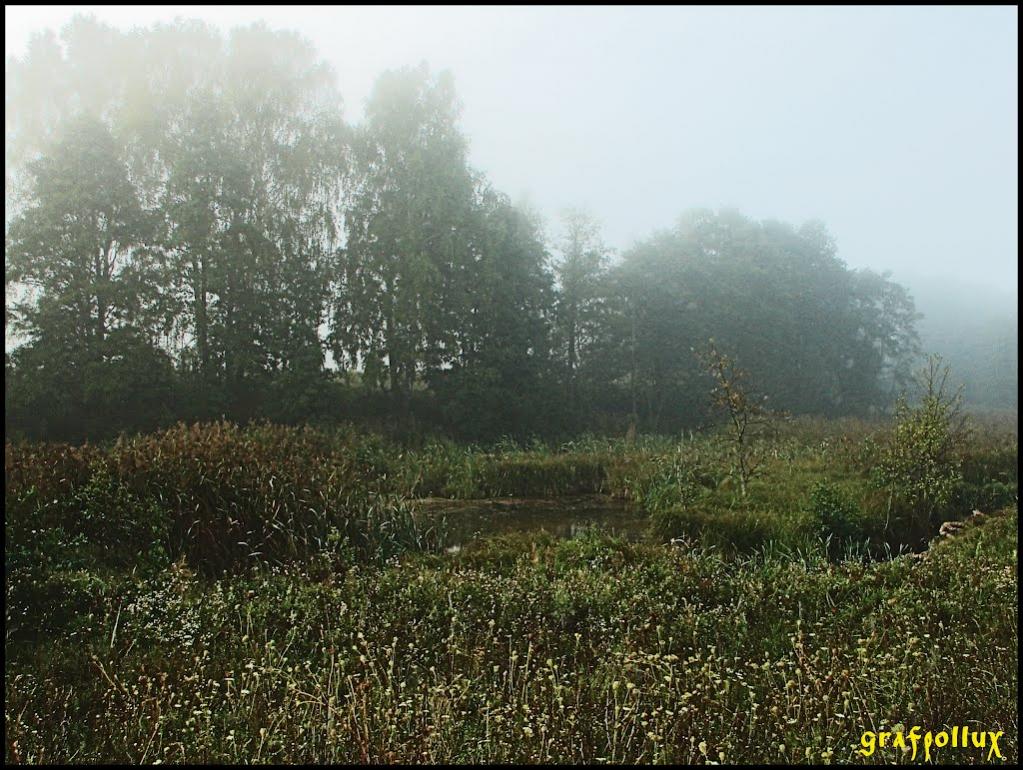 Мохначі з panoramio.com - Мохначі