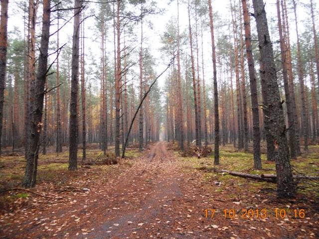 Бондарня з panoramio.com - Бондарня