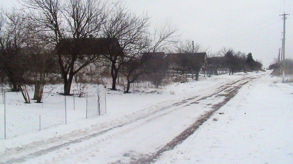 Широке з panoramio.com - Широке