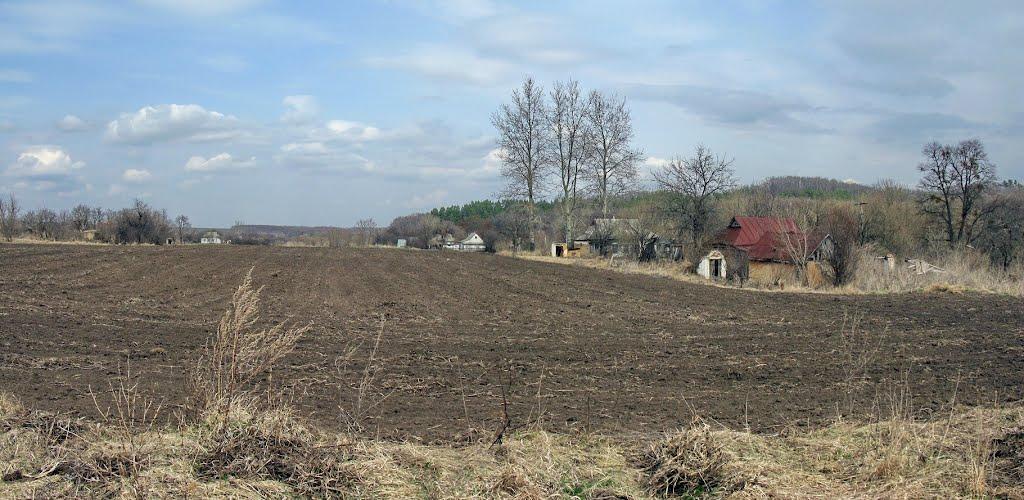 Тимошівка з panoramio.com - Тимошівка
