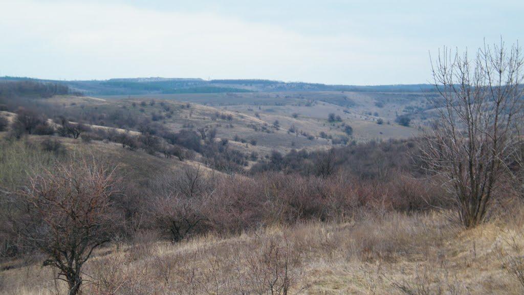 Білецьківка з panoramio.com - Білецьківка