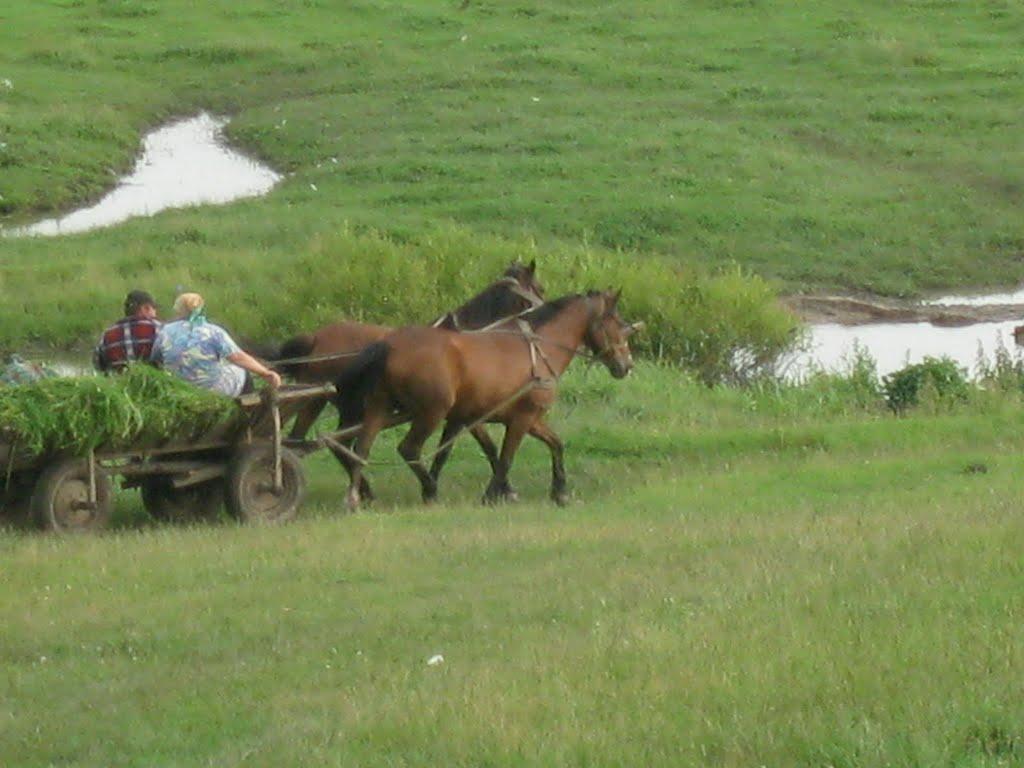 Бабине з panoramio.com - Бабино