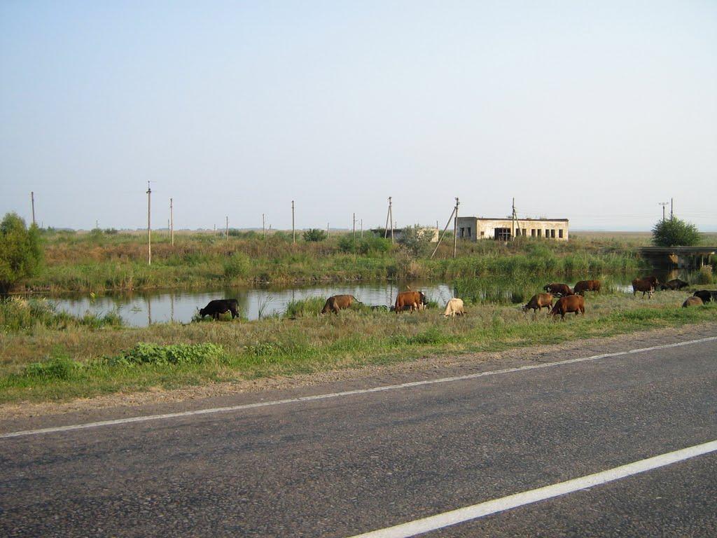 Удобне з panoramio.com - Удобное