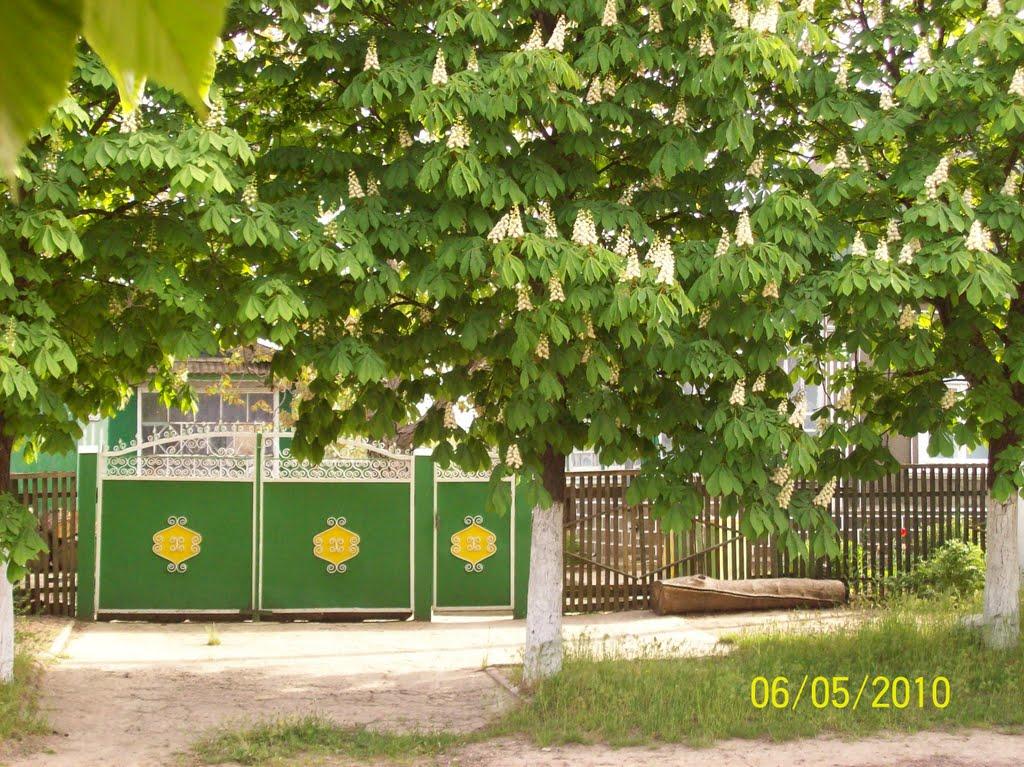 Удобне з panoramio.com - Удобне